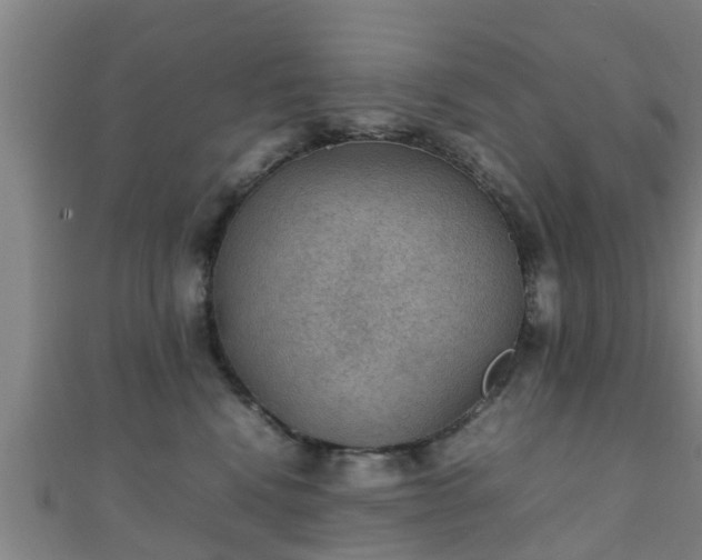 X0000111350472200907171146