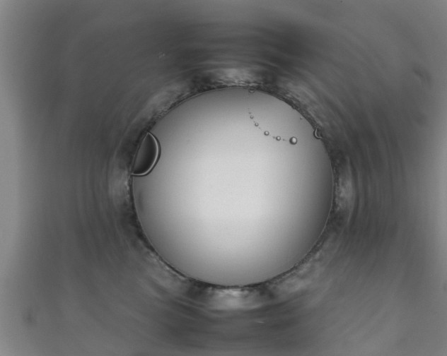 X0000111350473200907171146