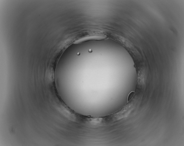 X0000111350474200907171146