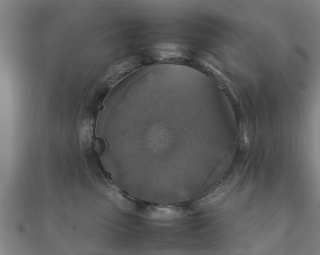 X0000111350475200907171146