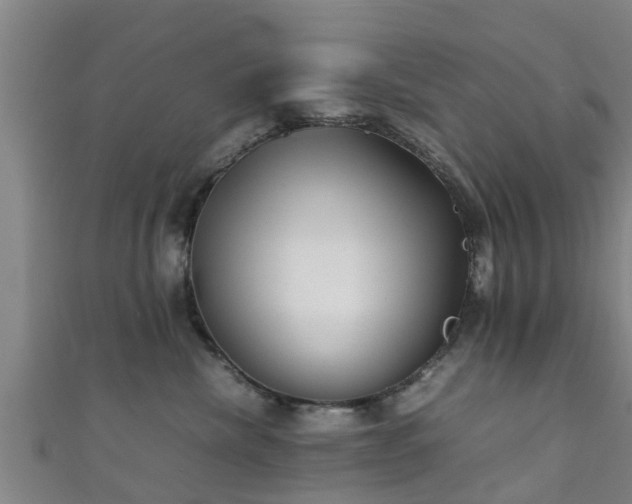 X0000111350476200907171146