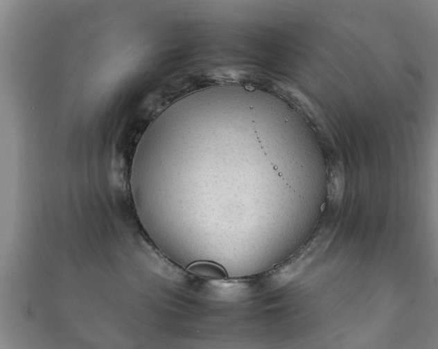 X0000111350477200907171146