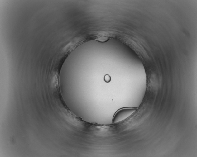 X0000111350478200907171146