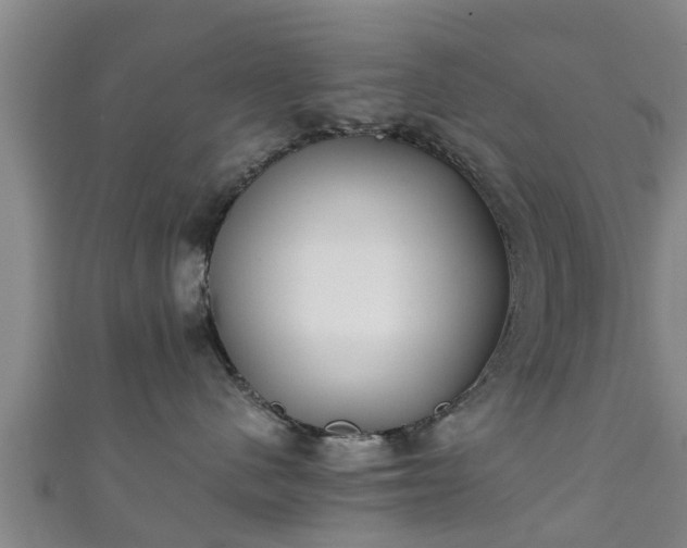 X0000111350480200907171147