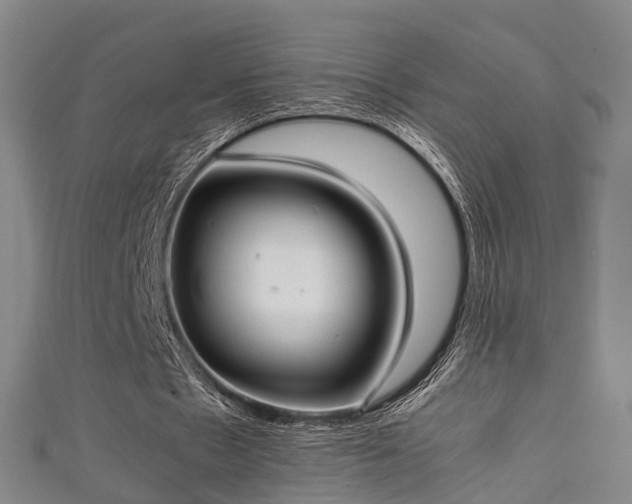 X0000111350481200907171146