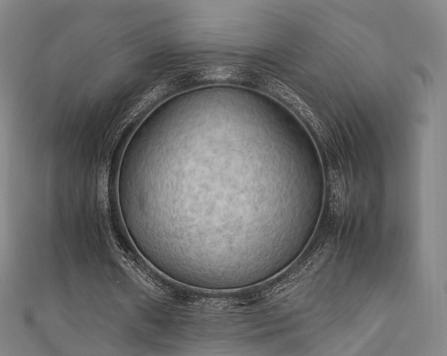 X0000111350482200907171146