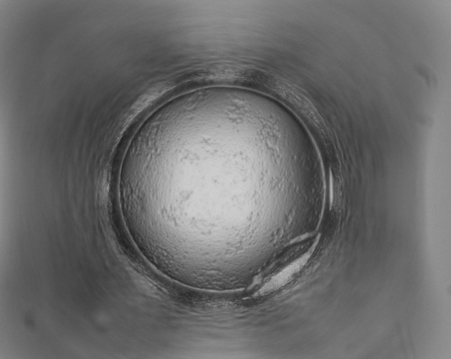 X0000111350483200907171146