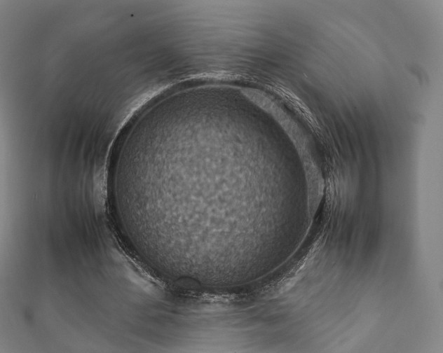 X0000111350484200907171146