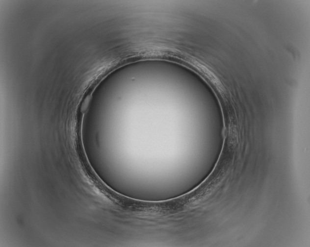 X0000111350485200907171146