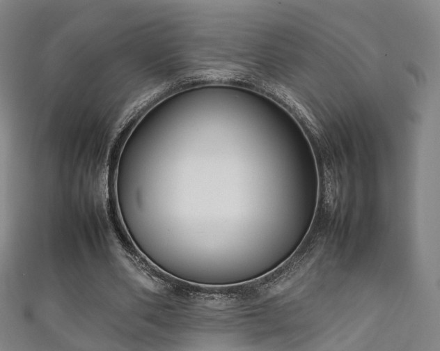 X0000111350486200907171146