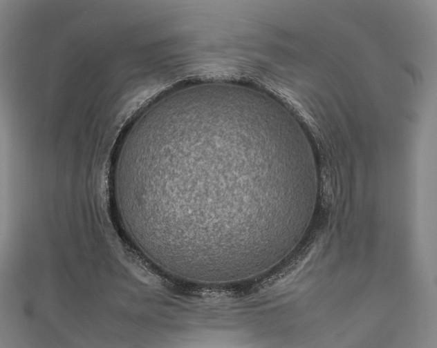 X0000111350487200907171146