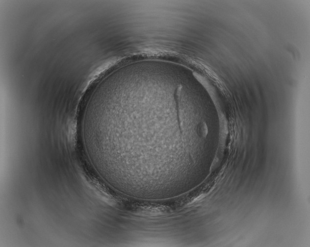 X0000111350488200907171146