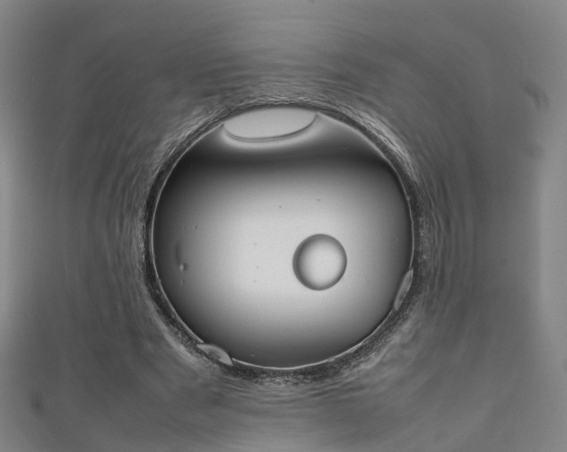 X0000111350489200907171146