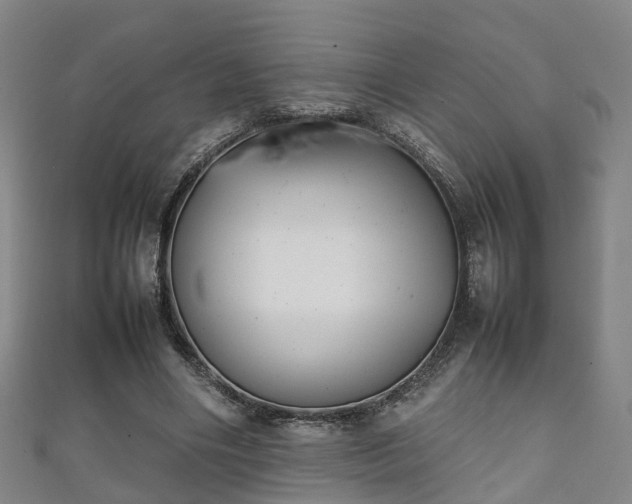 X0000111350490200907171146