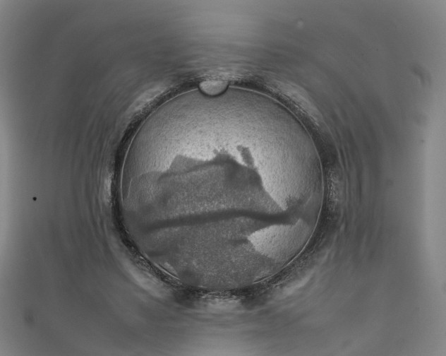 X0000111350491200907171146