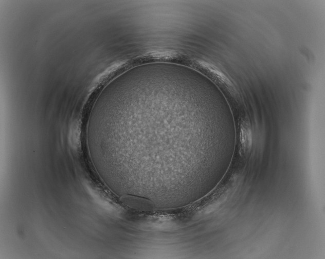 X0000111350492200907171146