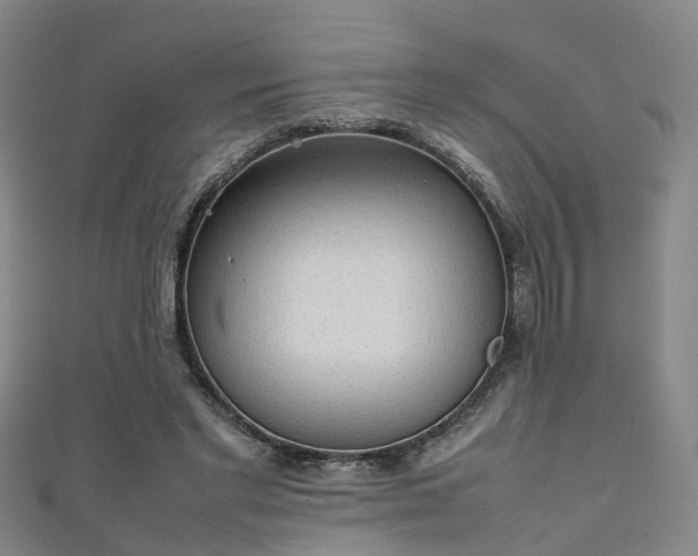 X0000111350493200907171146