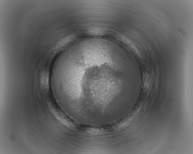 X0000111350494200907171146