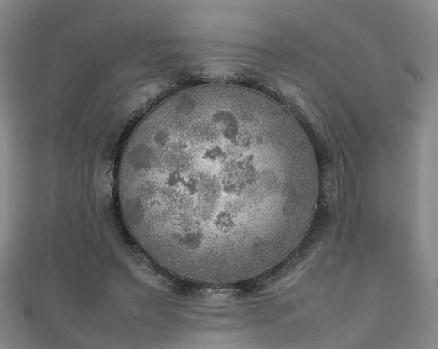 X0000111350495200907171146