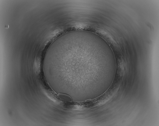 X0000111350496200907171146