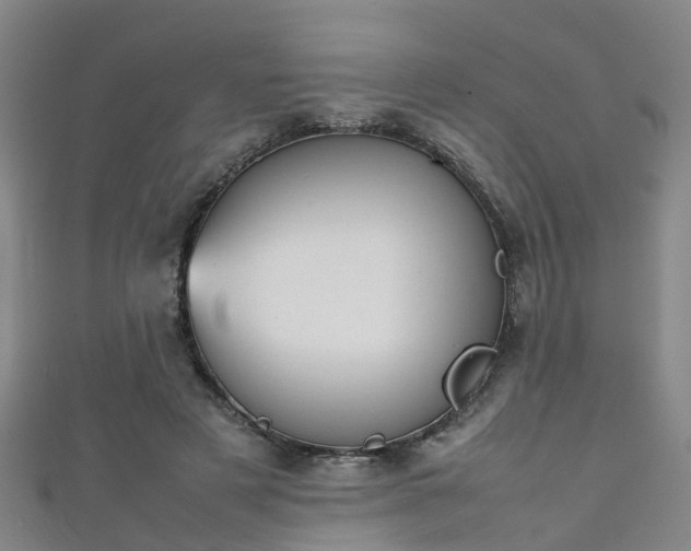 X0000111350497200907171146