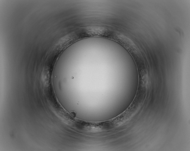 X0000111350498200907171146