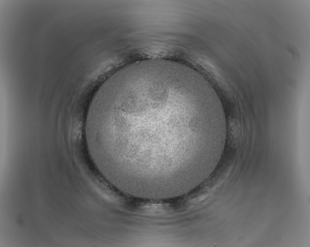 X0000111350499200907171146