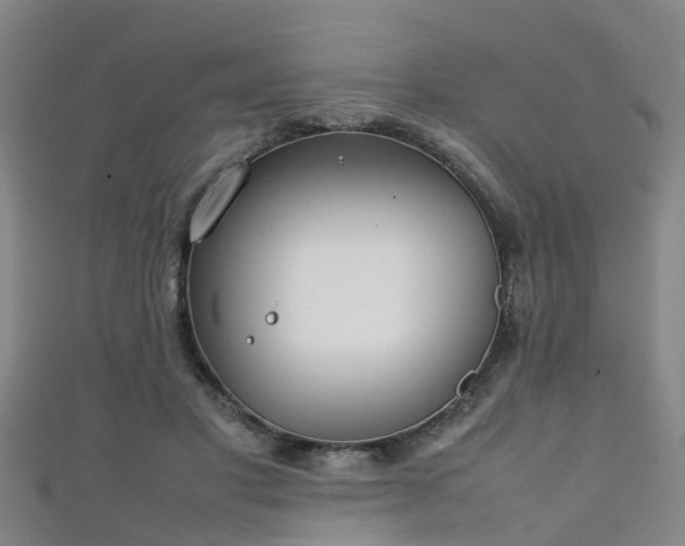 X0000111350501200907171146