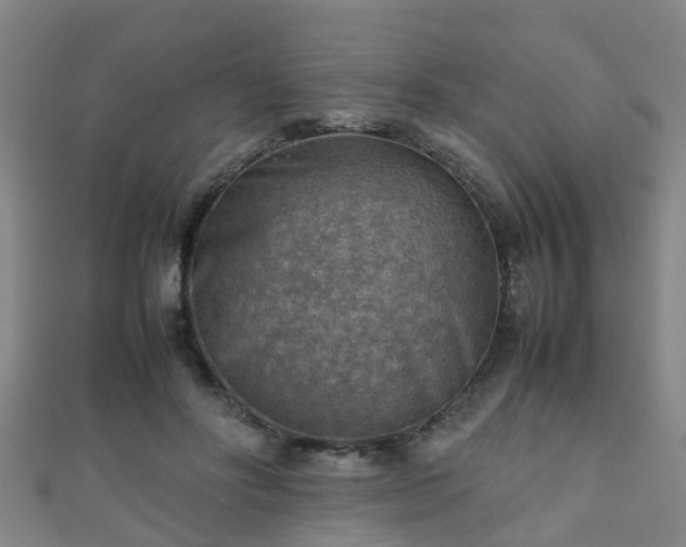 X0000111350502200907171146