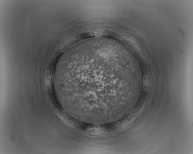 X0000111350503200907171146