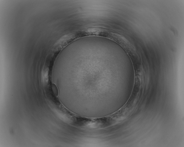 X0000111350504200907171146