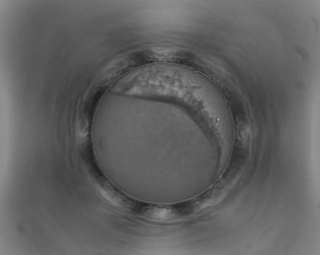 X0000111350507200907171146