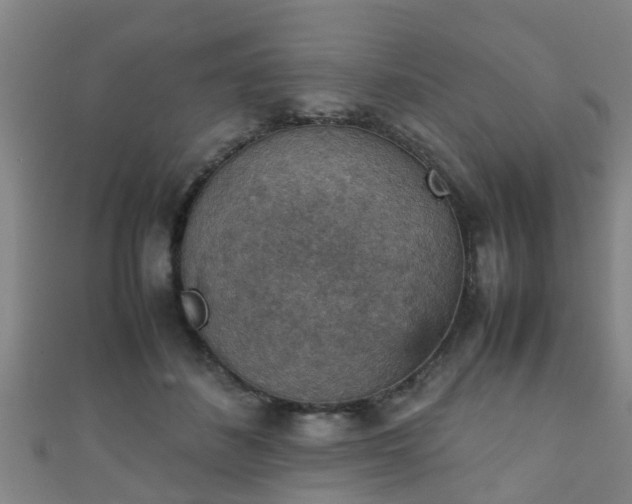 X0000111350508200907171146