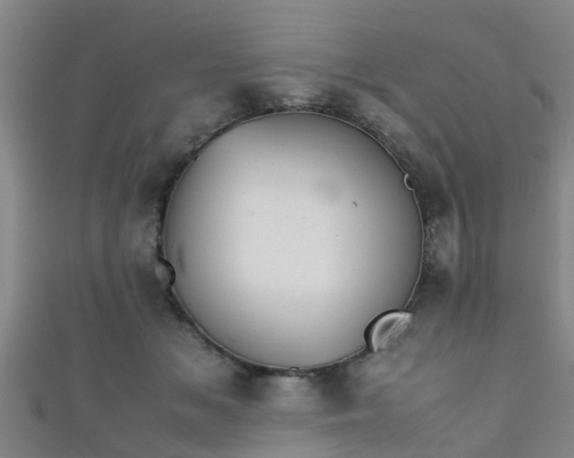 X0000111350509200907171146