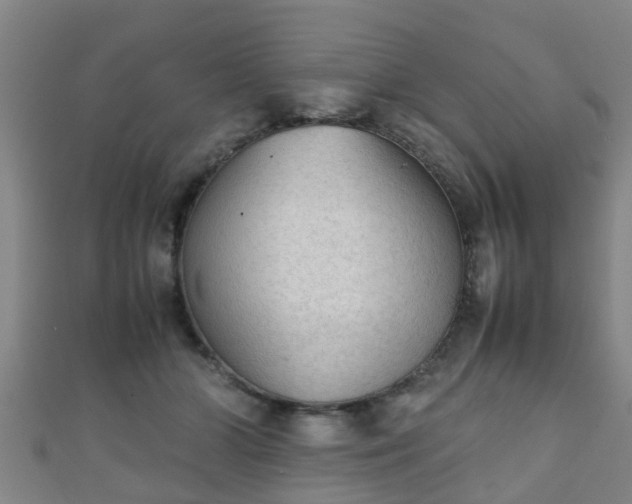 X0000111350510200907171146