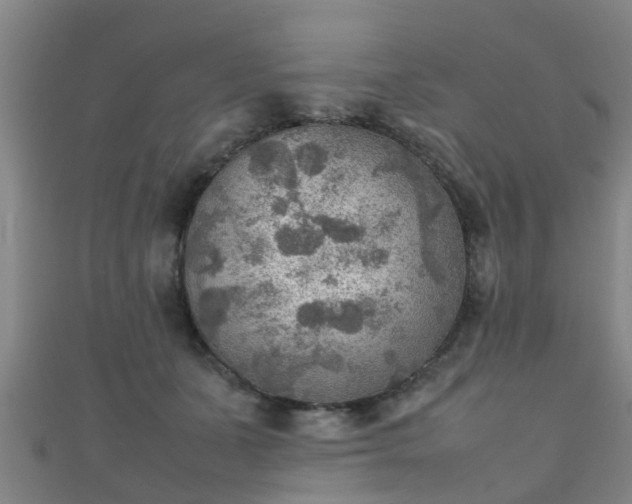 X0000111350511200907171146