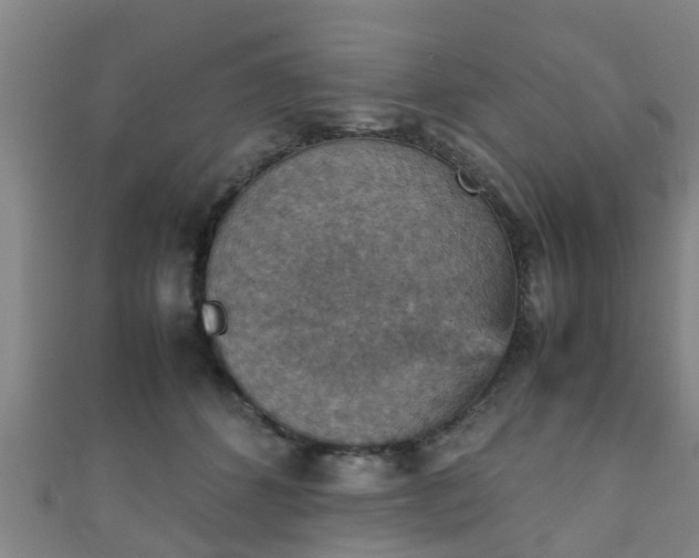 X0000111350512200907171146