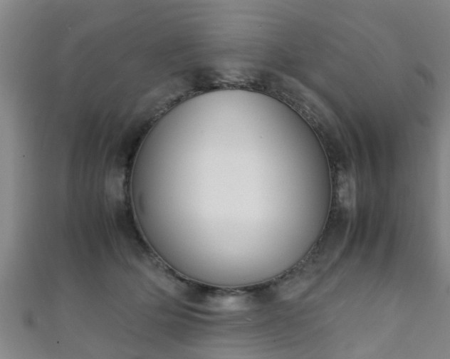 X0000111350514200907171145