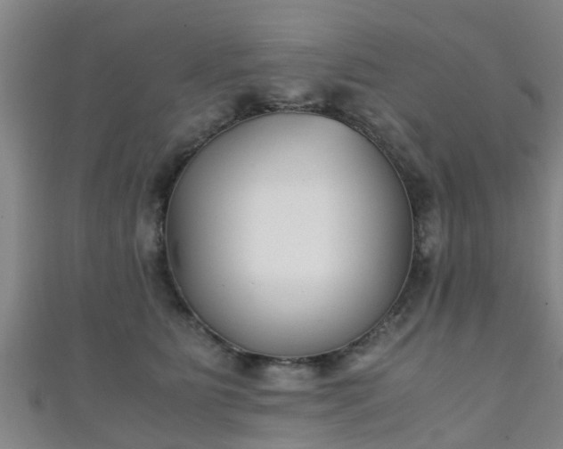 X0000111350515200907171145