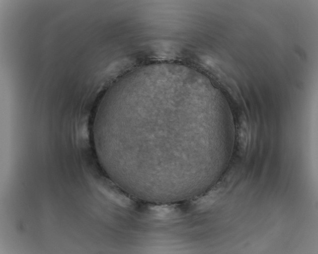 X0000111350516200907171145