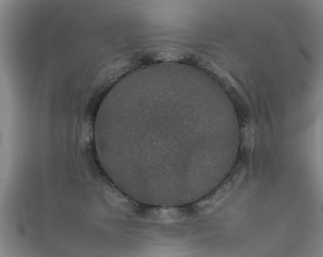 X0000111350517200907171145