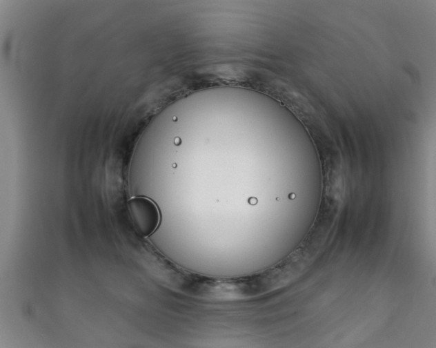 X0000111350518200907171145