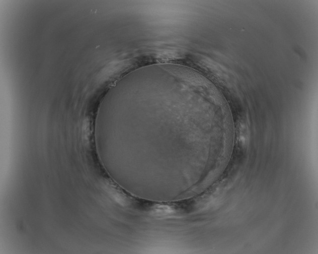 X0000111350519200907171145