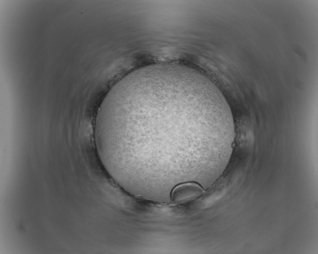 X0000111350523200907171145