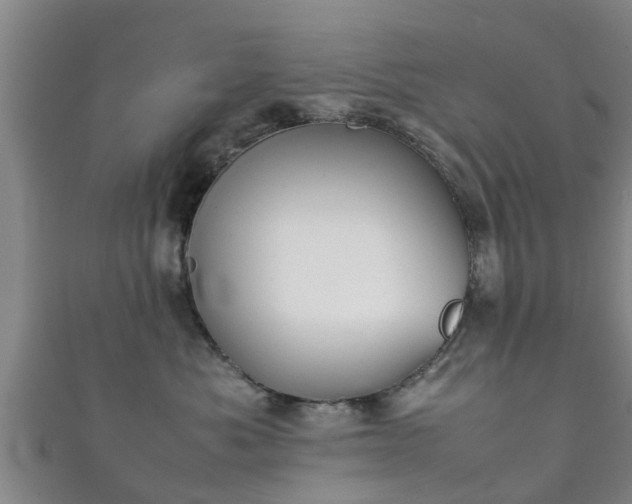 X0000111350525200907171145