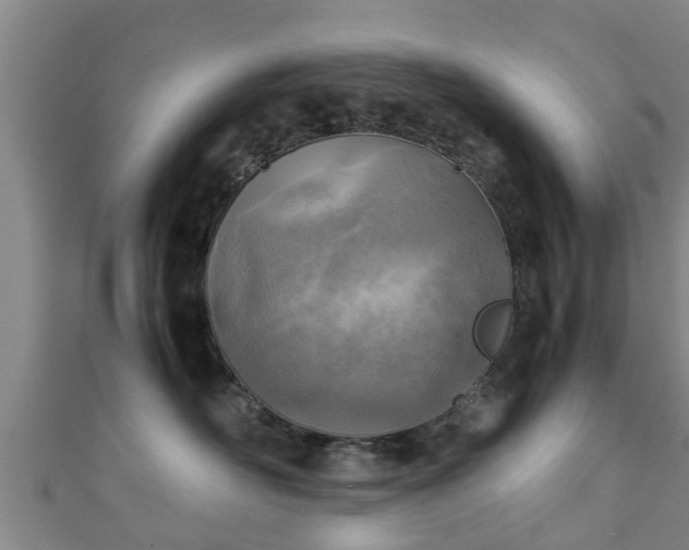 X0000111350526200907171145