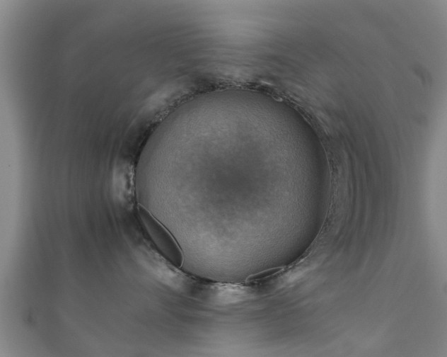 X0000111350528200907171145