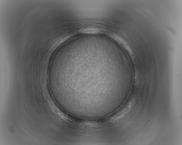 X0000111350529200907171145