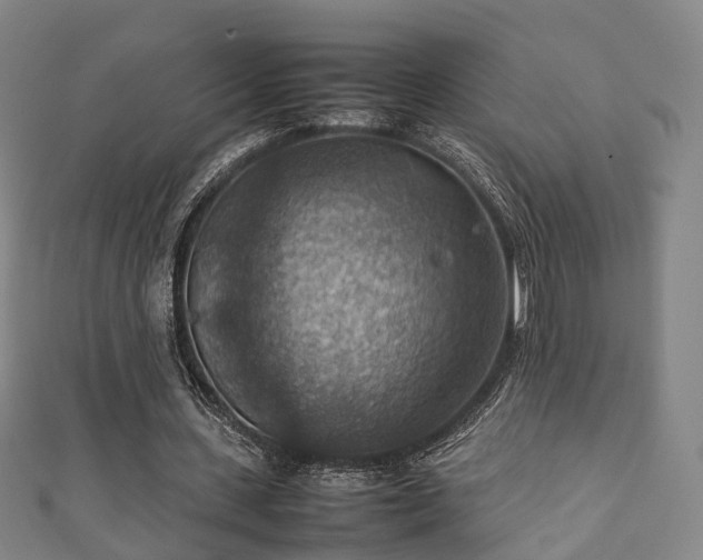 X0000111350531200907171145