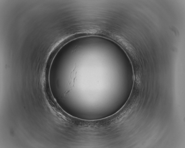 X0000111350532200907171145